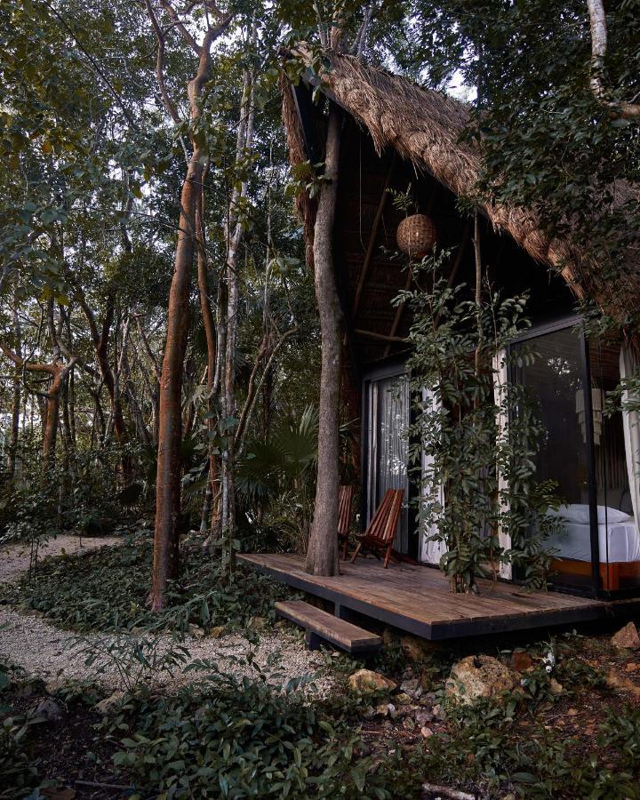 Kapok Bacalar - Plant Based Hotel Buenavista  ภายนอก รูปภาพ