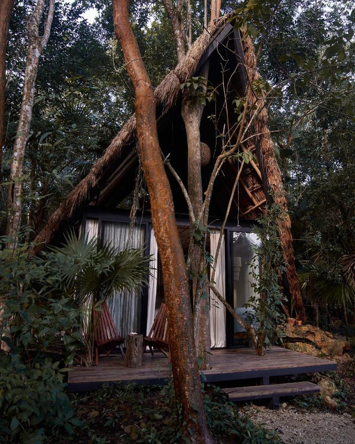 Kapok Bacalar - Plant Based Hotel Buenavista  ภายนอก รูปภาพ