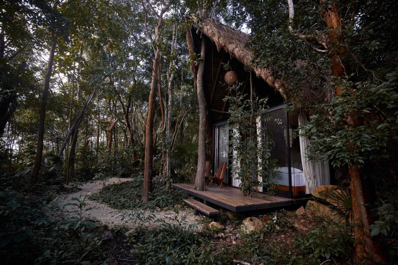 Kapok Bacalar - Plant Based Hotel Buenavista  ภายนอก รูปภาพ